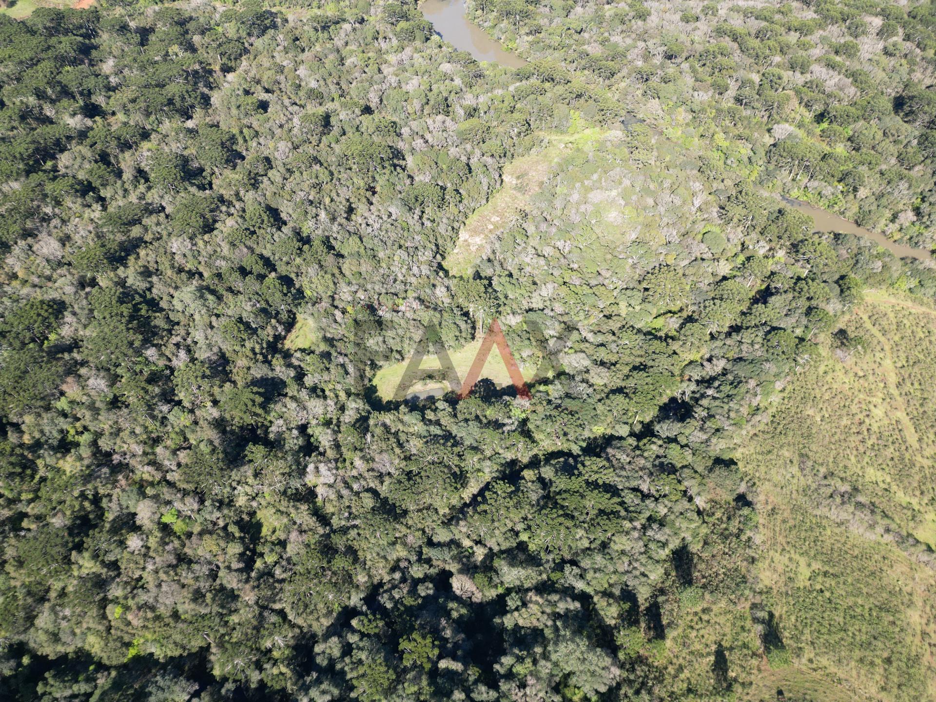 Fazenda à venda, 57014m² - Foto 6