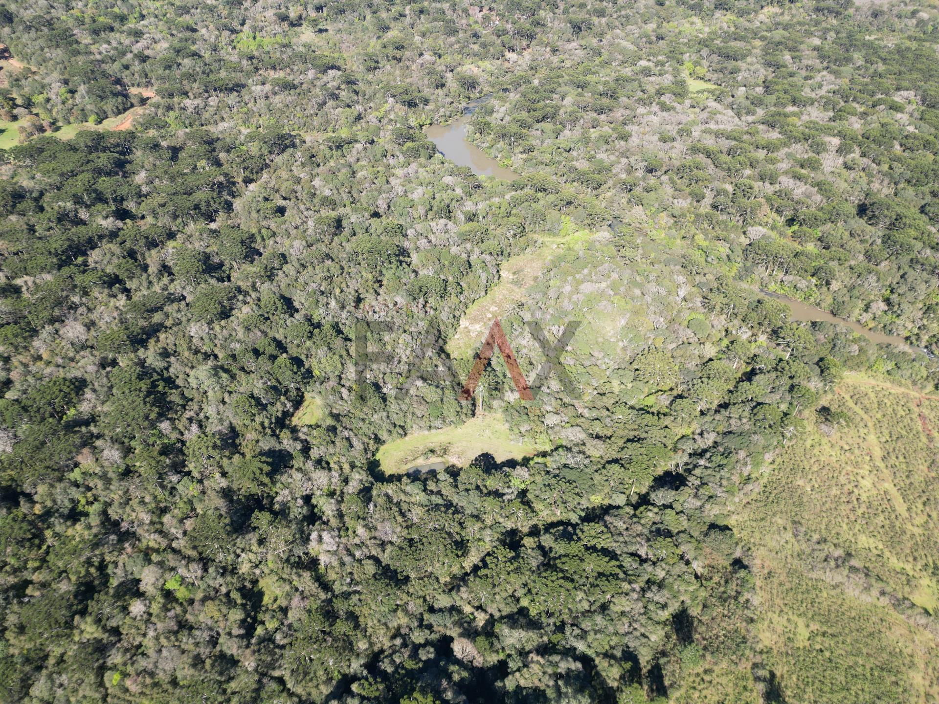 Fazenda à venda, 57014m² - Foto 7