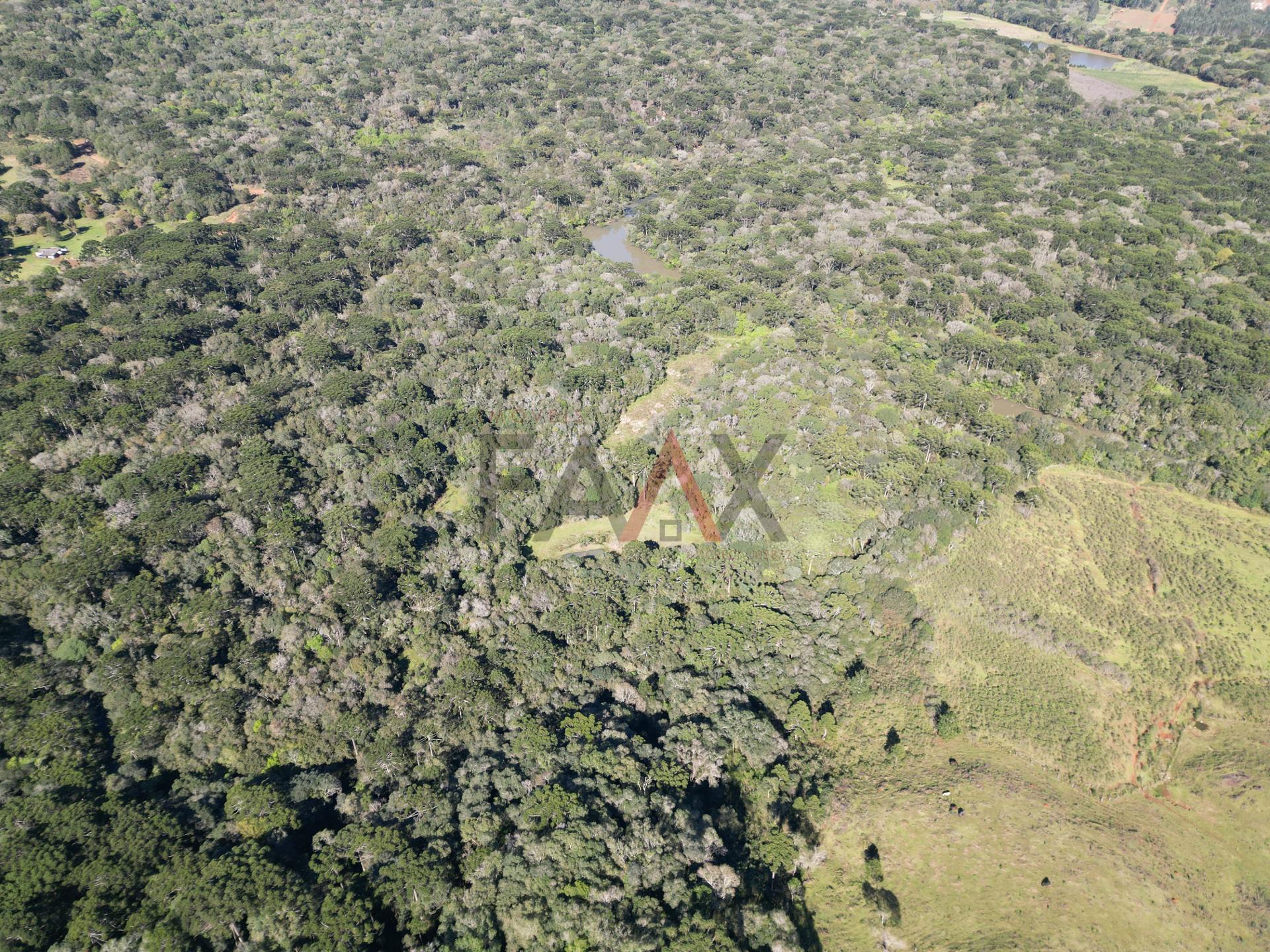 Fazenda à venda, 57014m² - Foto 9