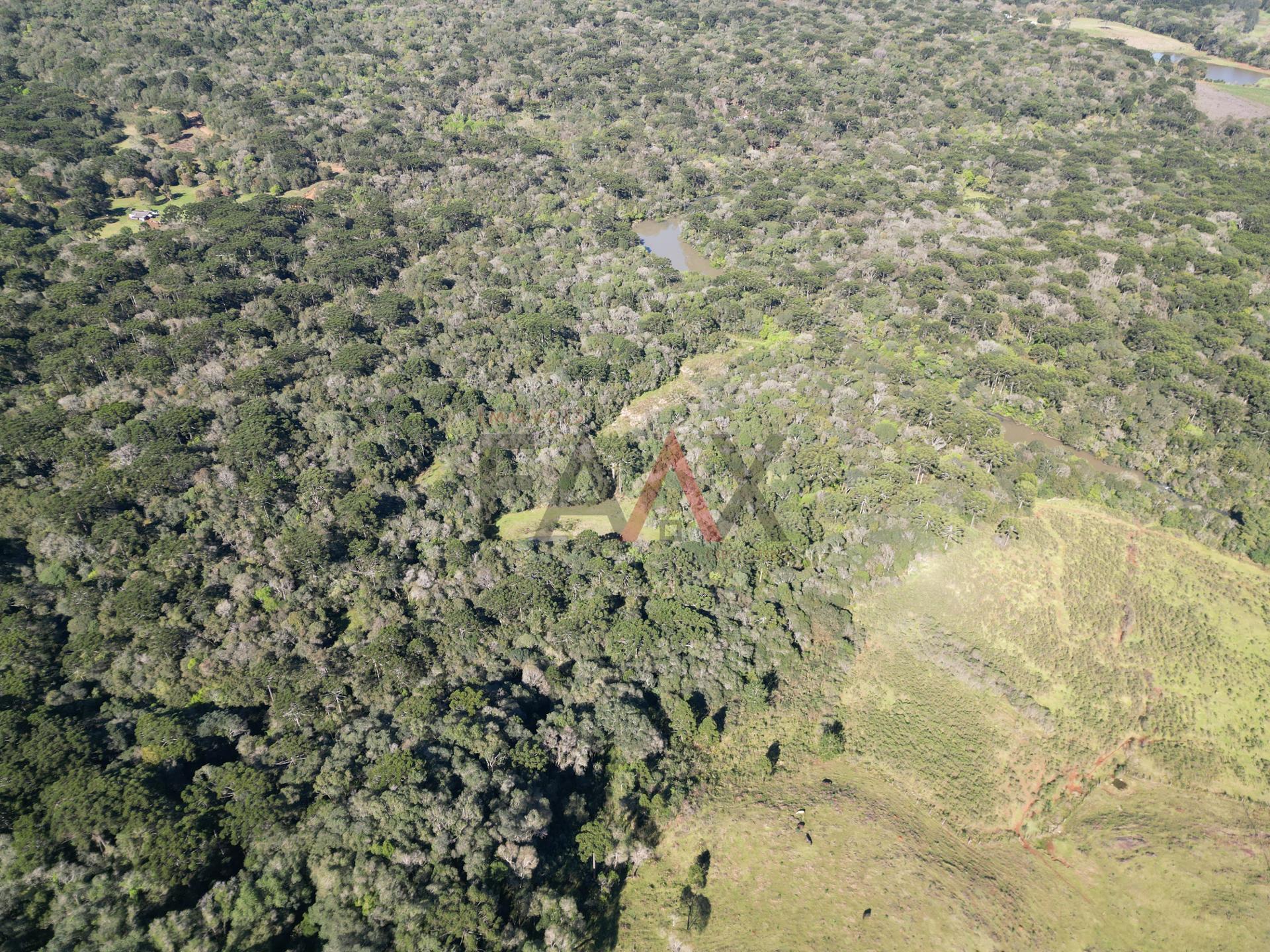 Fazenda à venda, 57014m² - Foto 11