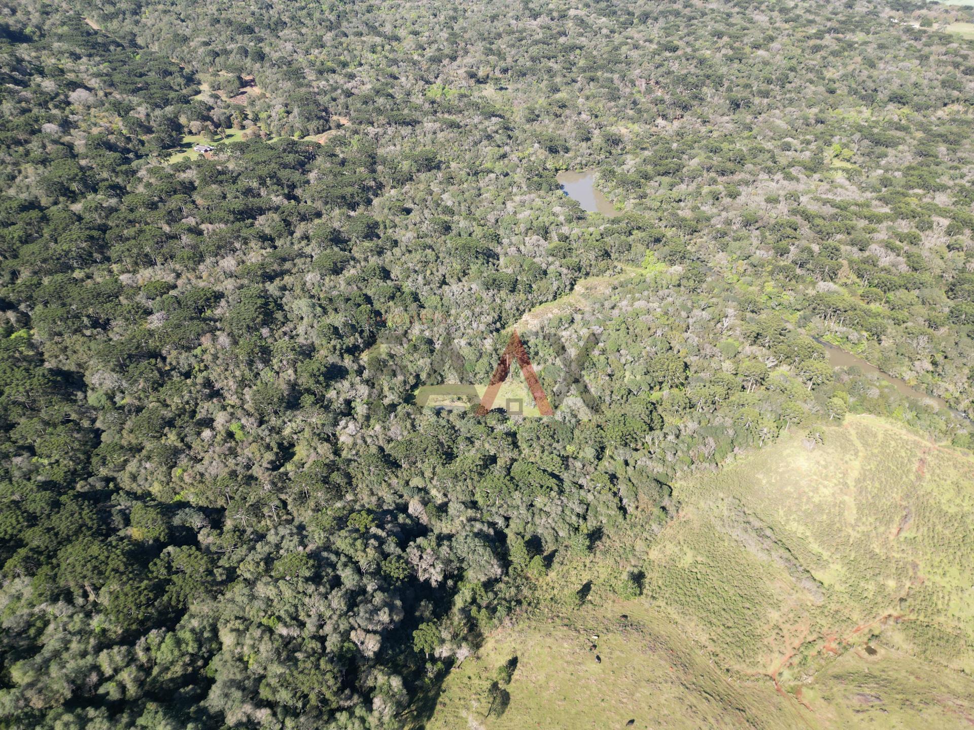 Fazenda à venda, 57014m² - Foto 12