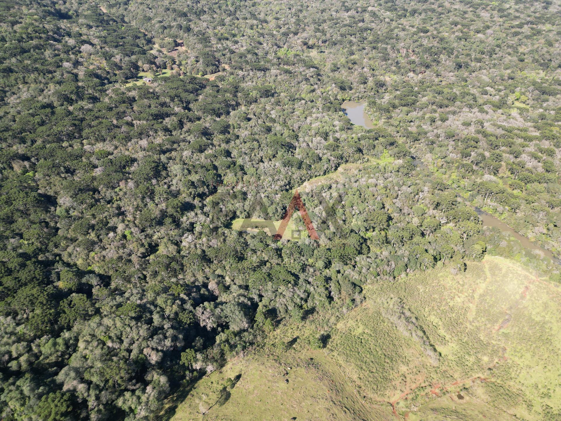 Fazenda à venda, 57014m² - Foto 13