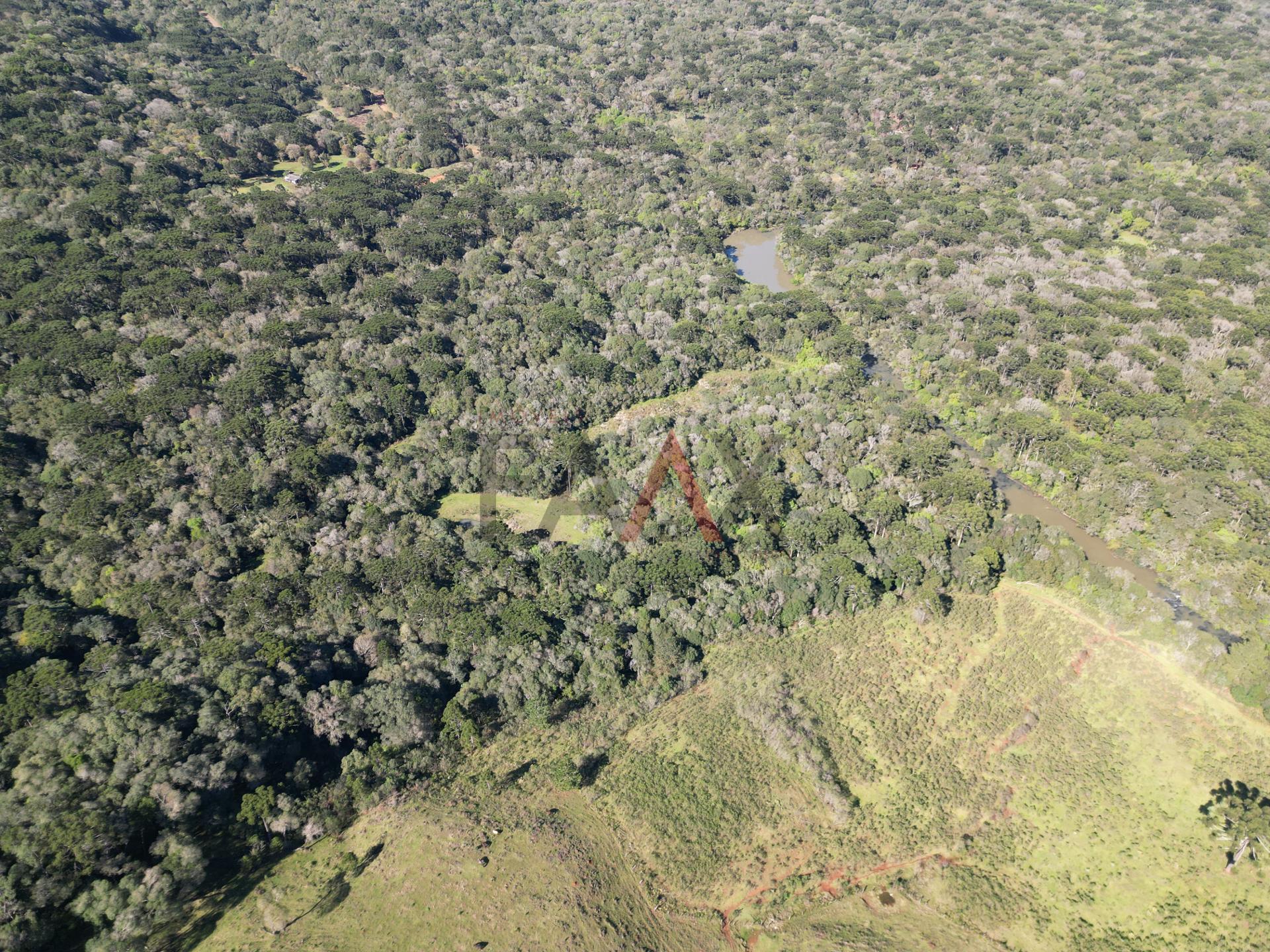 Fazenda à venda, 57014m² - Foto 14