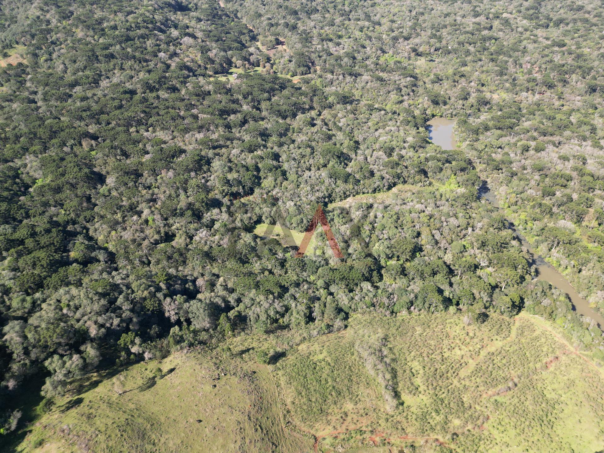 Fazenda à venda, 57014m² - Foto 15