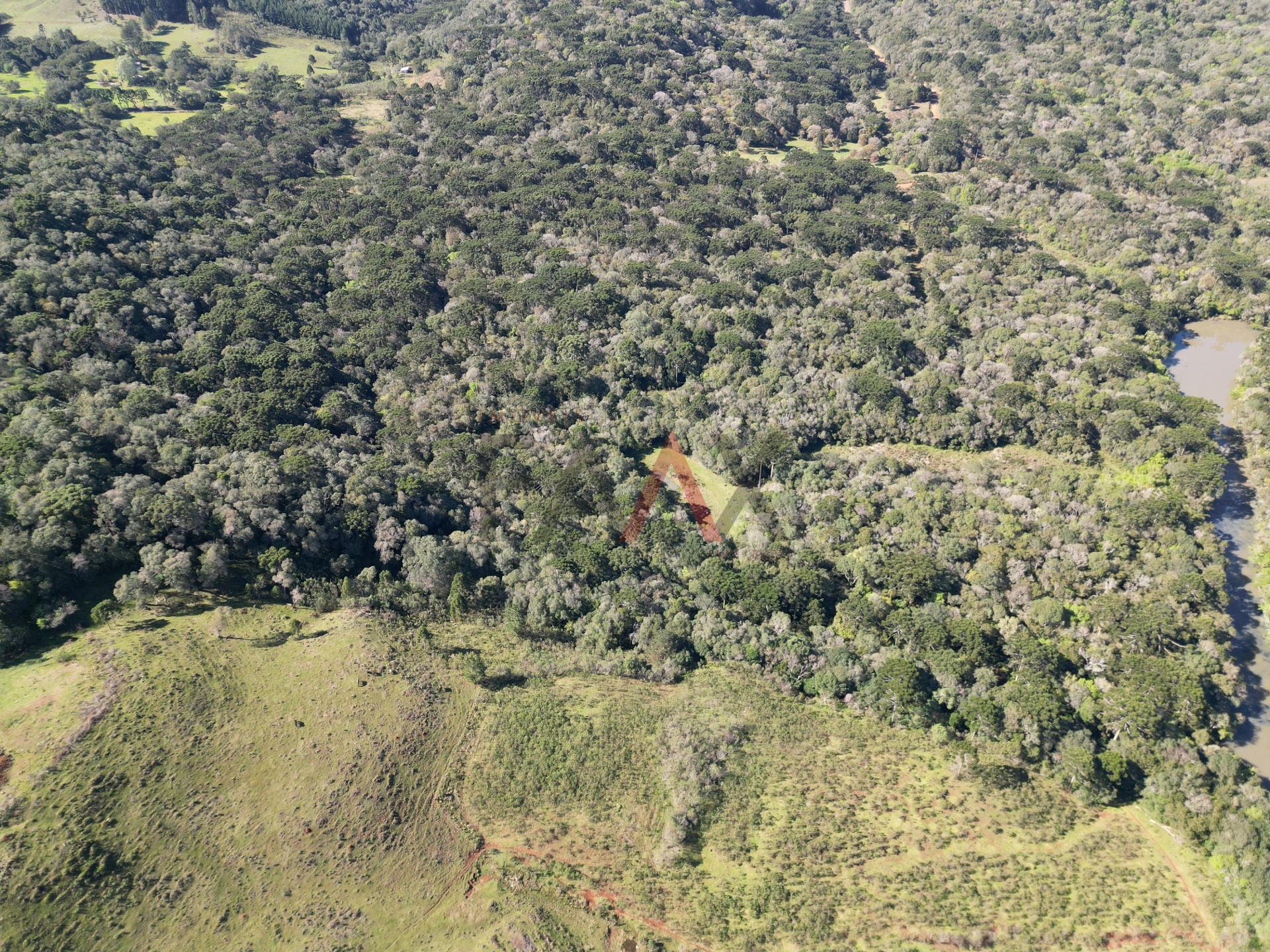 Fazenda à venda, 57014m² - Foto 16