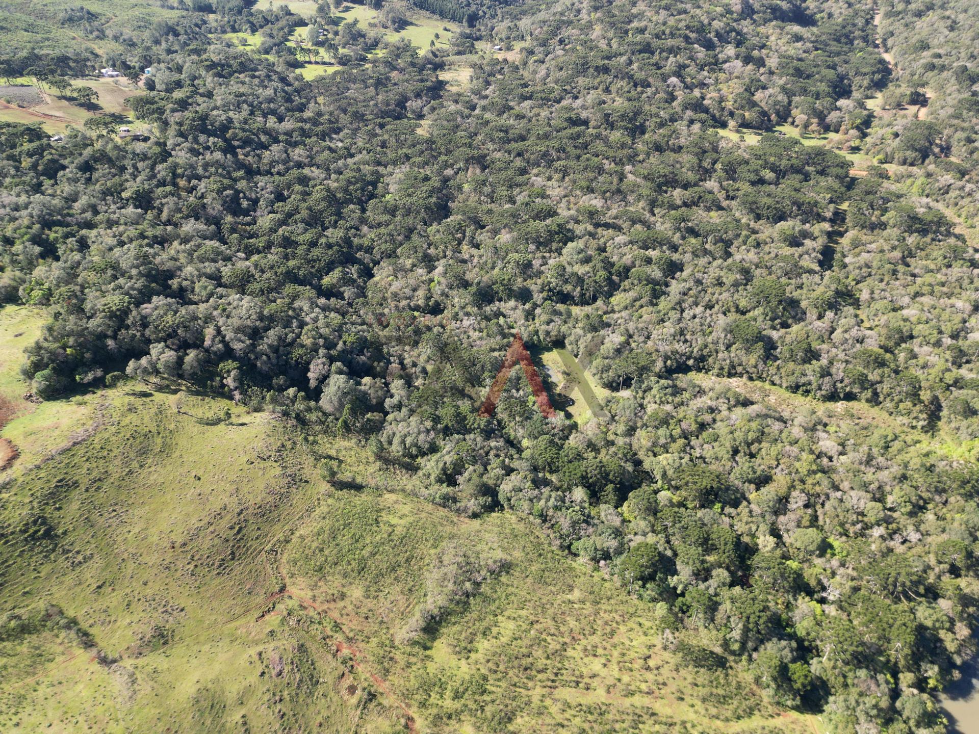 Fazenda à venda, 57014m² - Foto 19