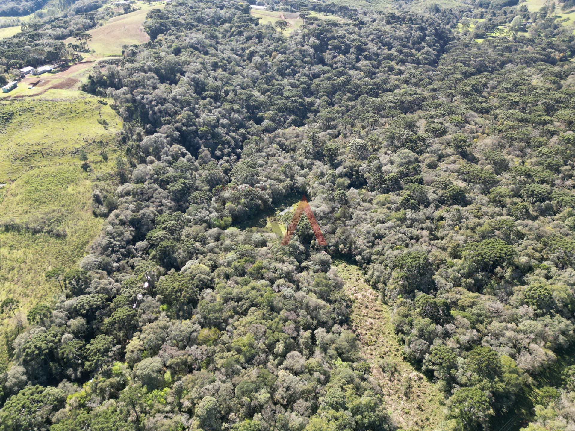 Fazenda à venda, 57014m² - Foto 46