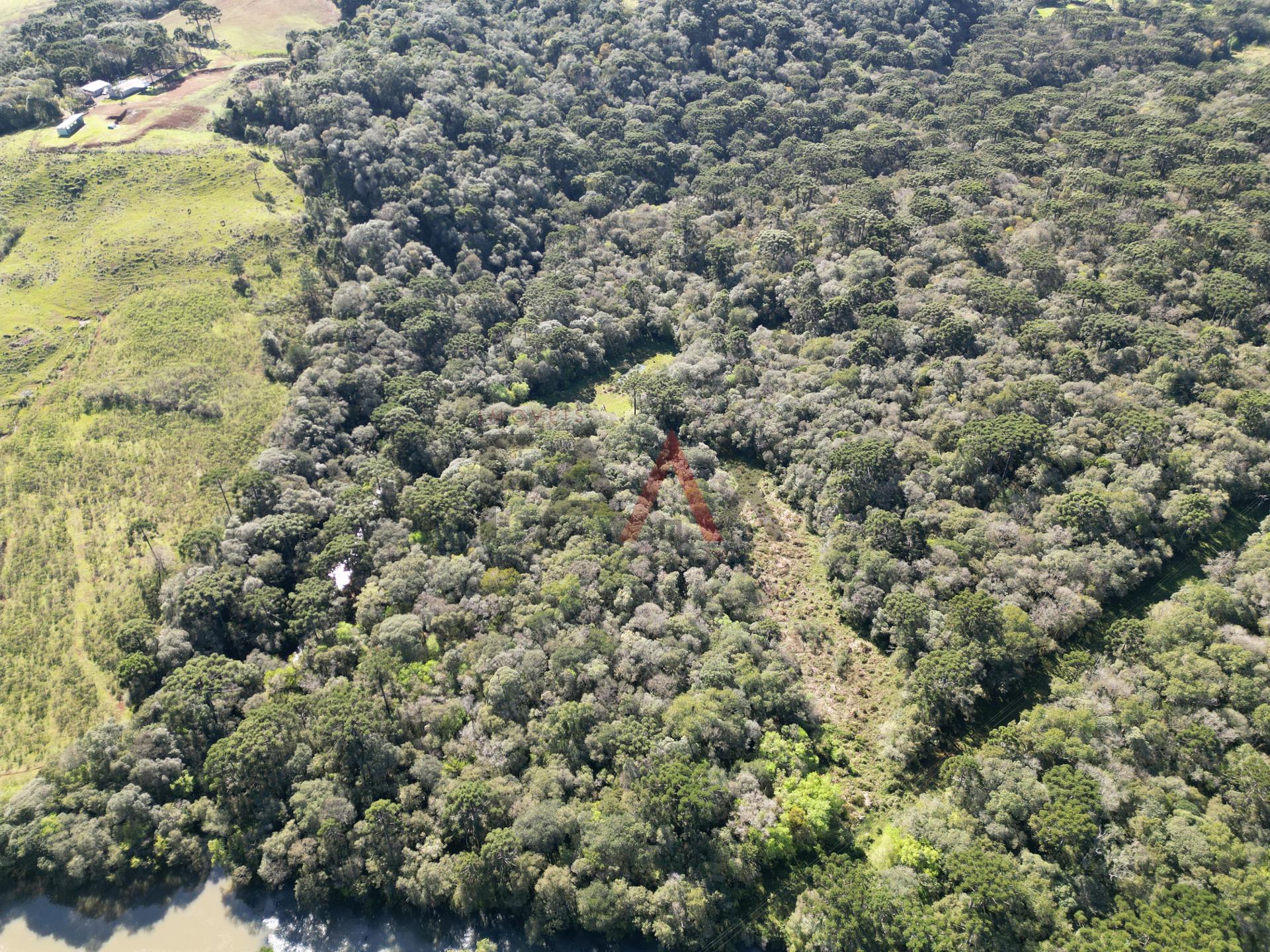 Fazenda à venda, 57014m² - Foto 48