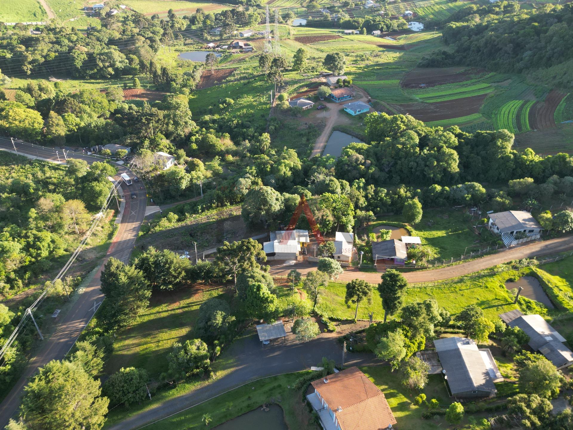 Fazenda à venda com 2 quartos, 800m² - Foto 16