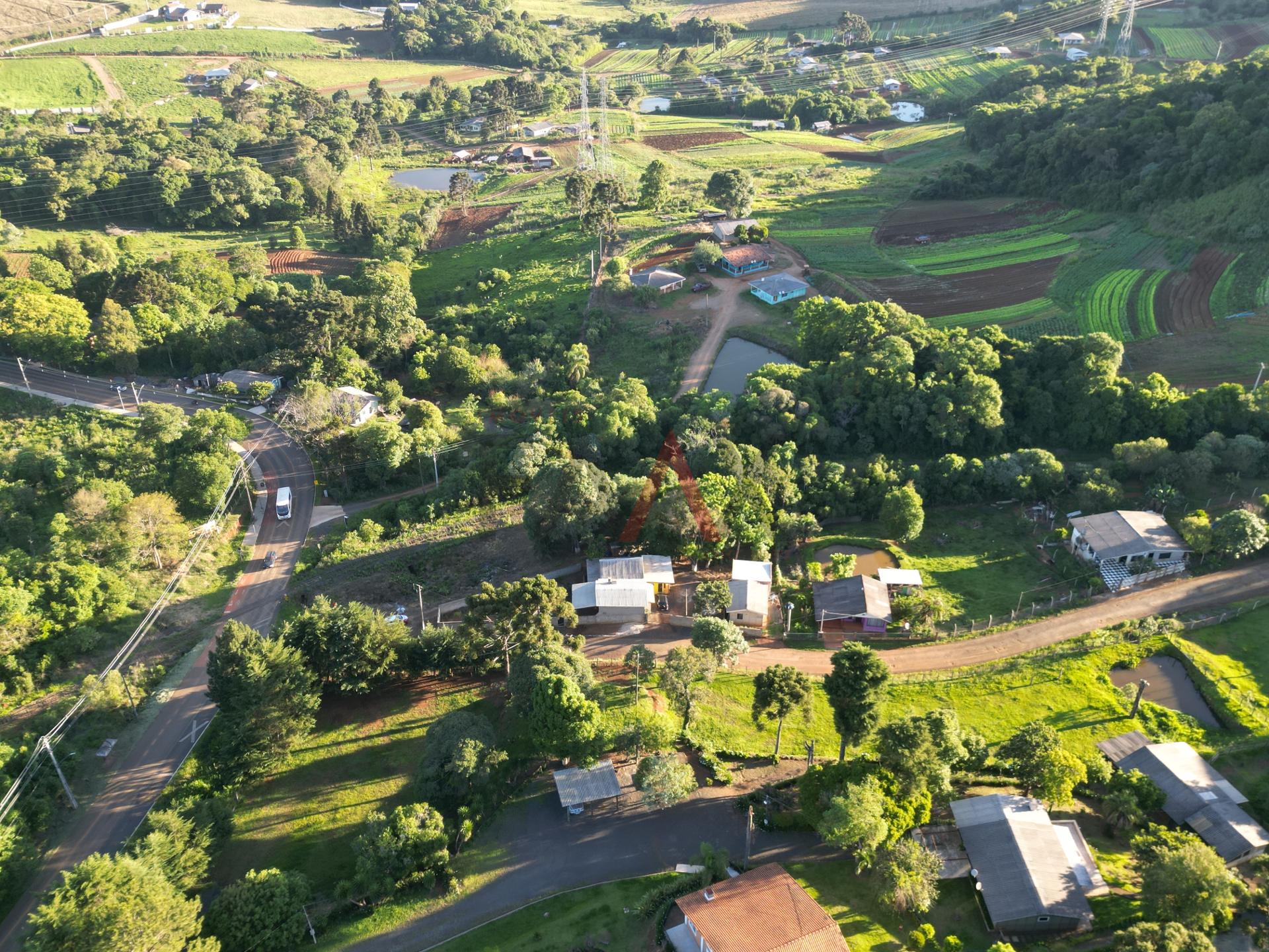 Fazenda à venda com 2 quartos, 800m² - Foto 17