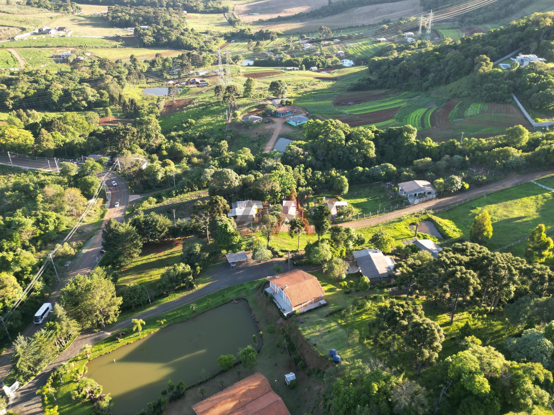 Fazenda à venda com 2 quartos, 800m² - Foto 18