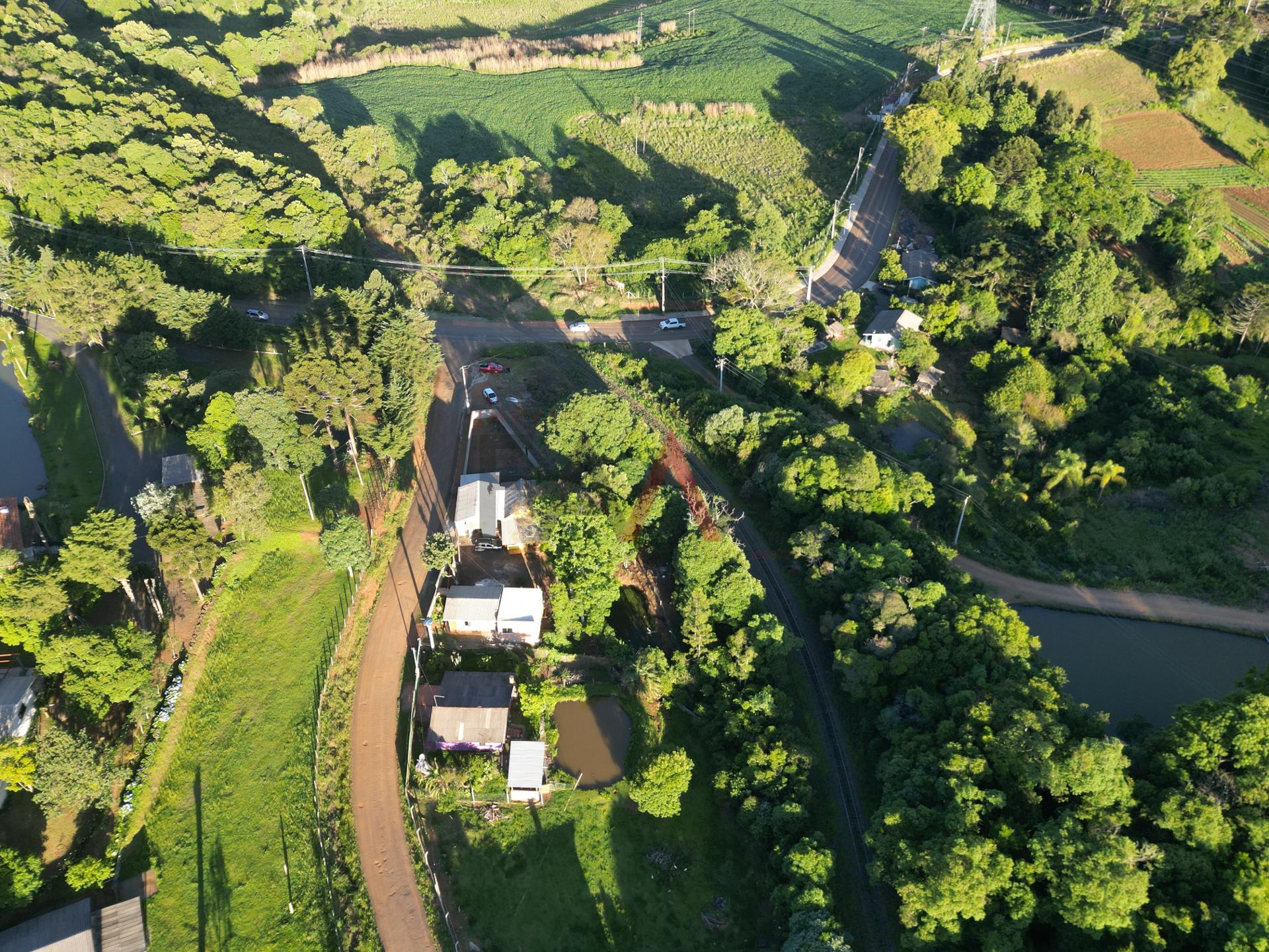 Fazenda à venda com 2 quartos, 800m² - Foto 19