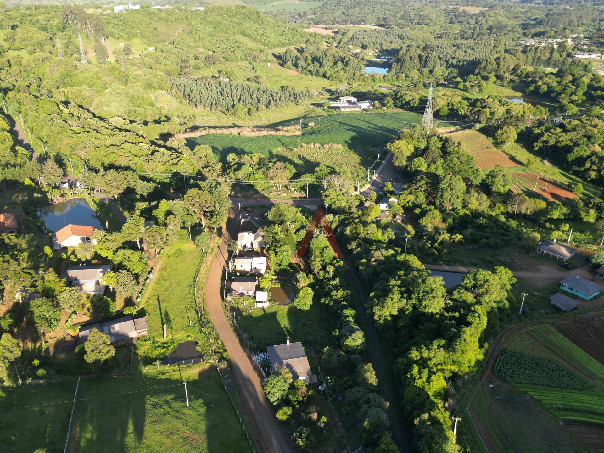 Fazenda à venda com 2 quartos, 800m² - Foto 20