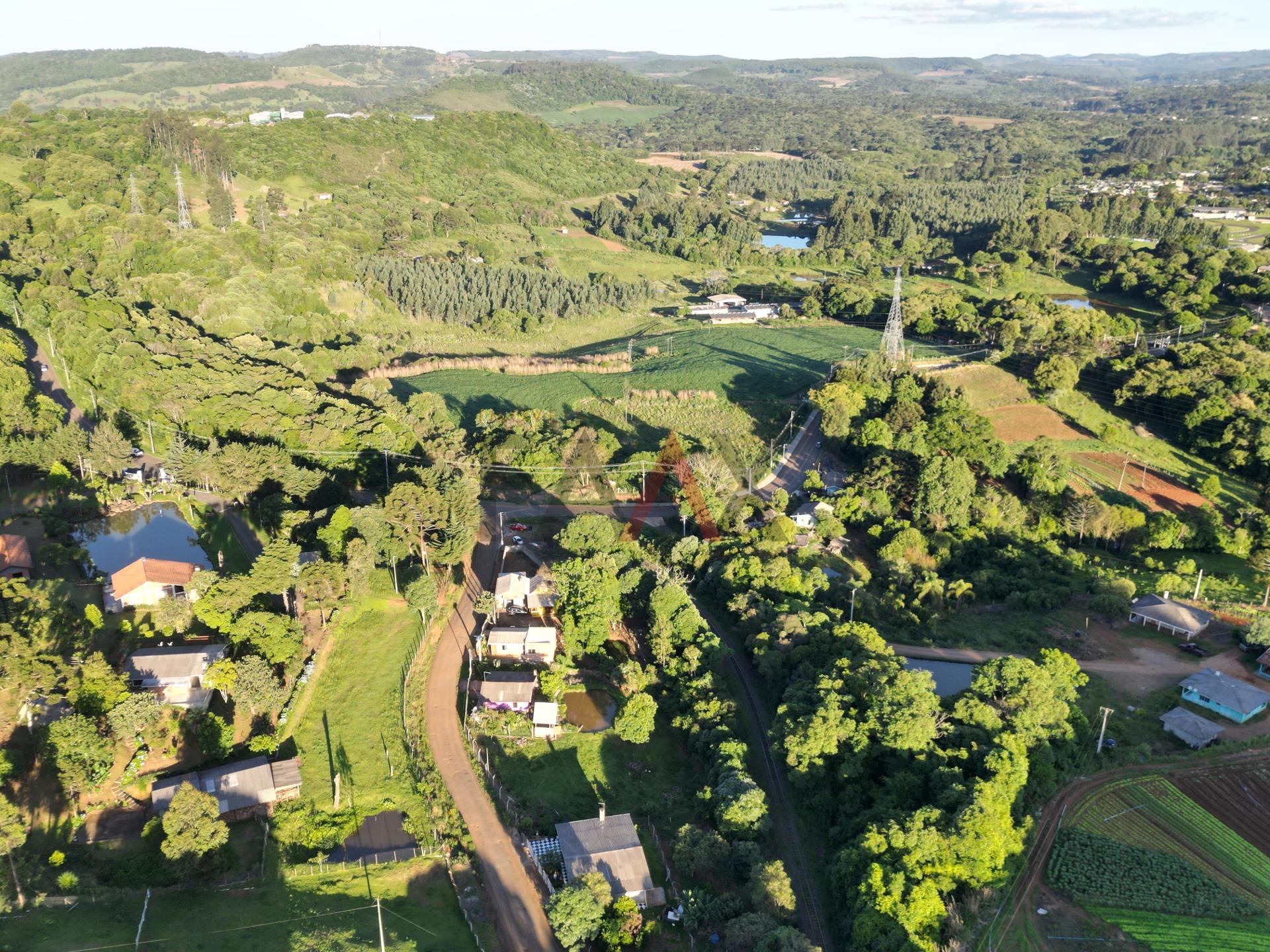 Fazenda à venda com 2 quartos, 800m² - Foto 21