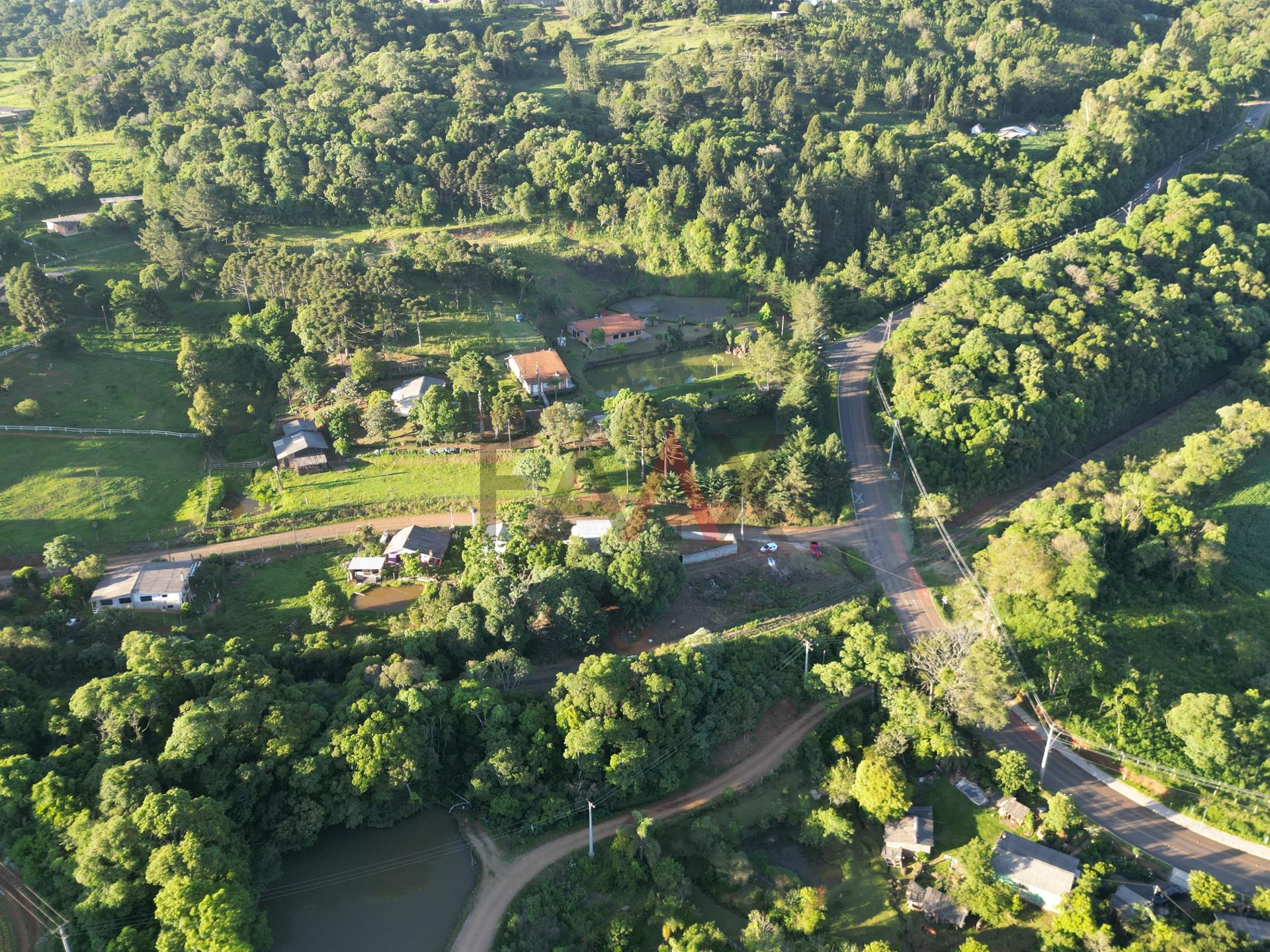 Fazenda à venda com 2 quartos, 800m² - Foto 22