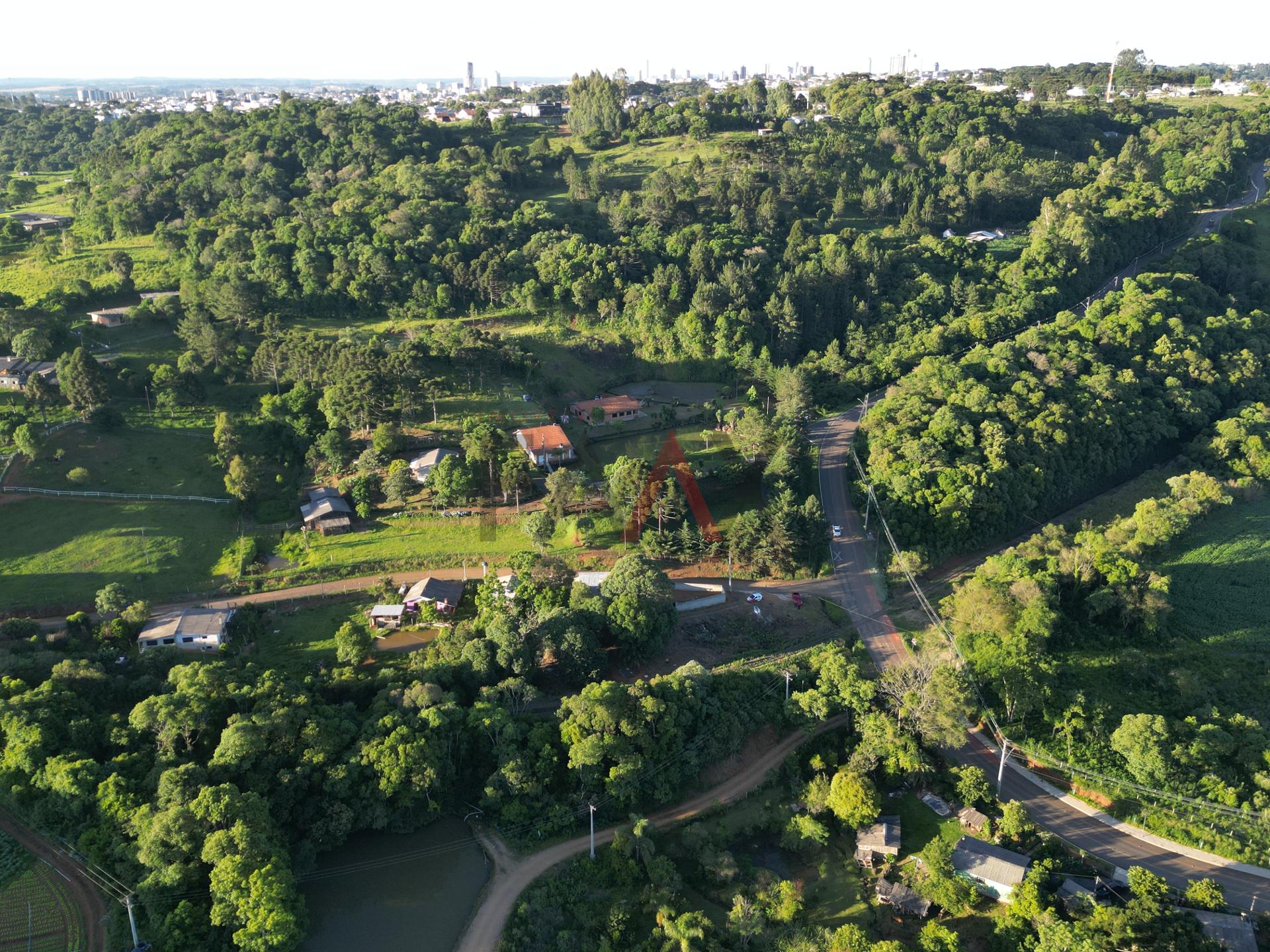 Fazenda à venda com 2 quartos, 800m² - Foto 23