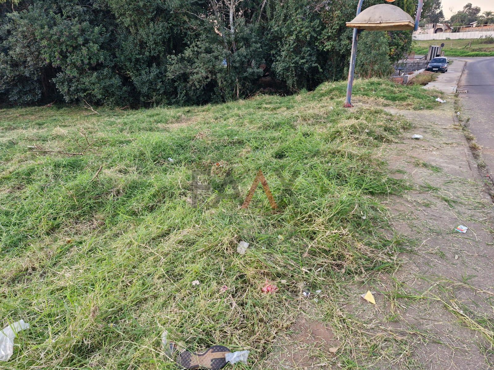 Terreno à venda, 300m² - Foto 5