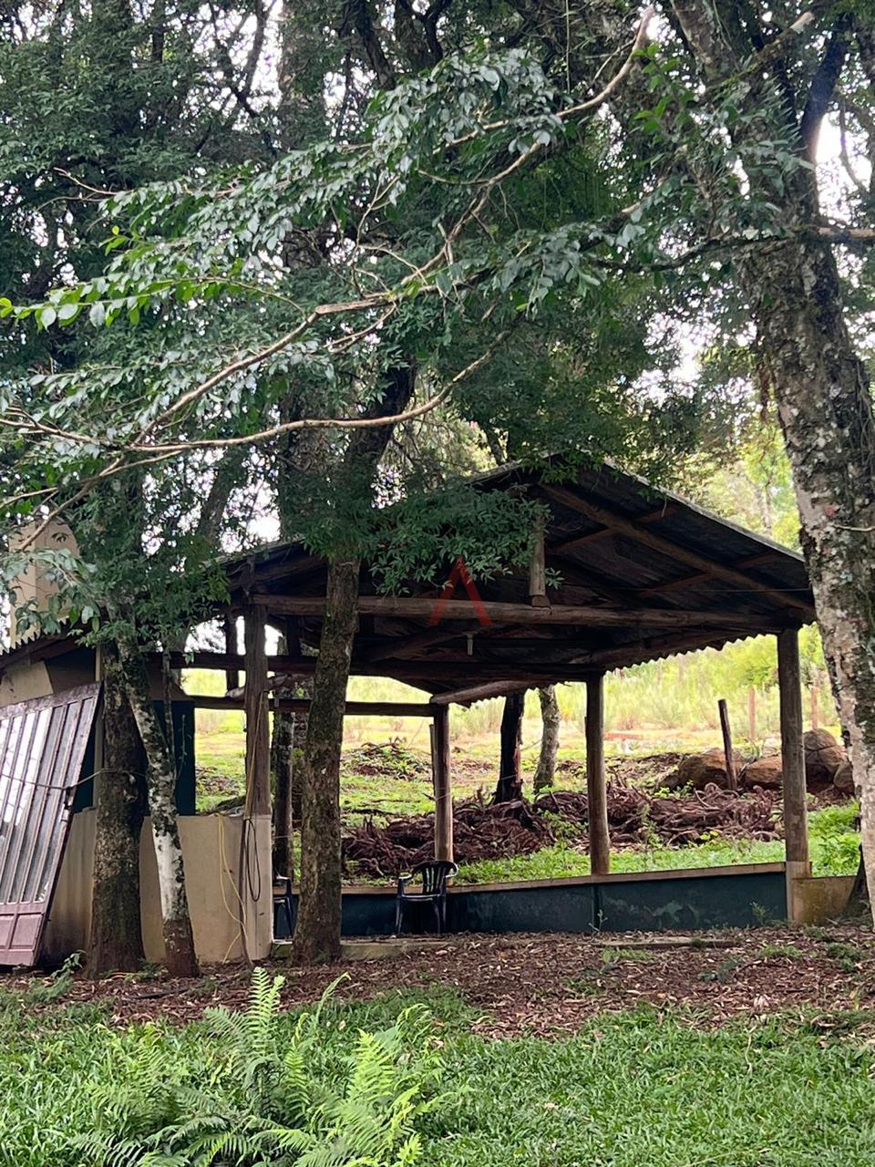 Fazenda à venda, 5m² - Foto 4