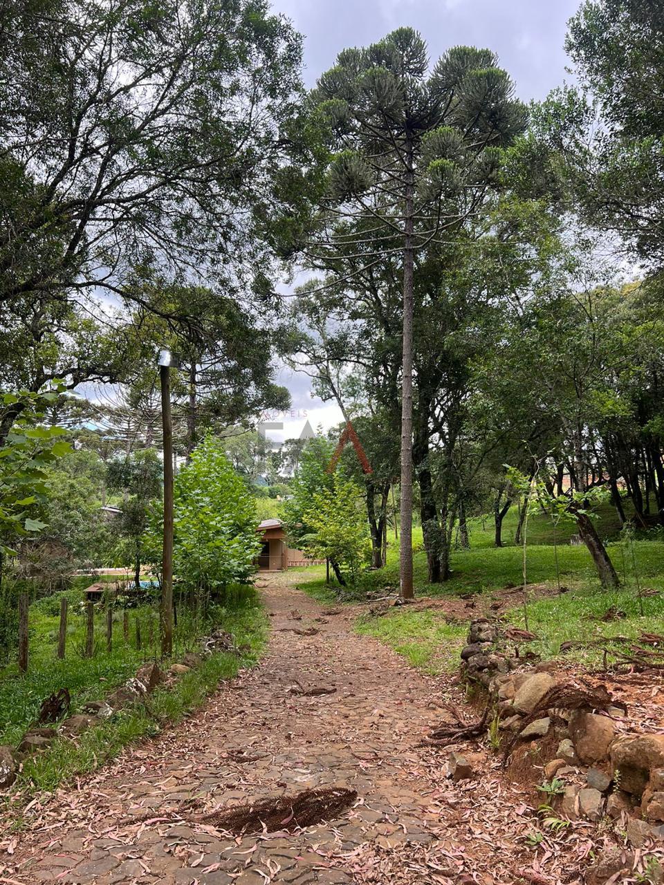 Fazenda à venda, 5m² - Foto 5