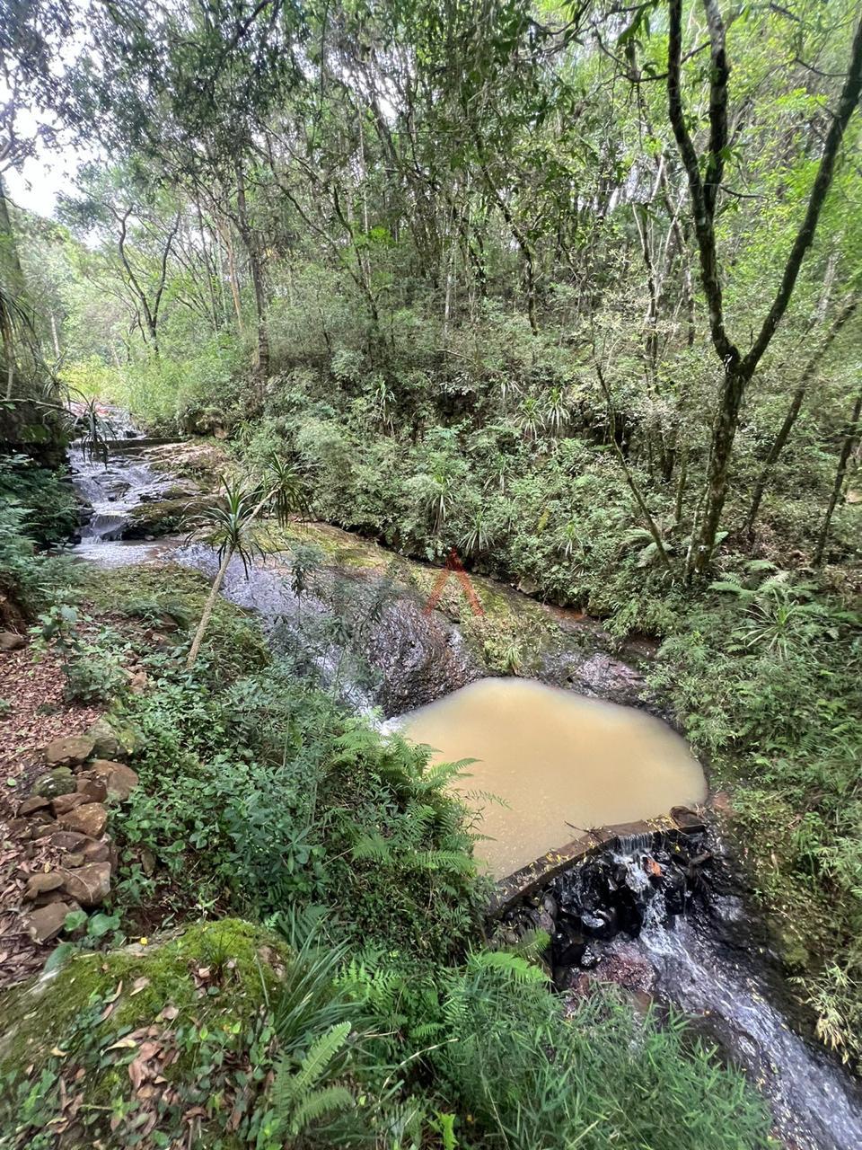 Fazenda à venda, 5m² - Foto 6