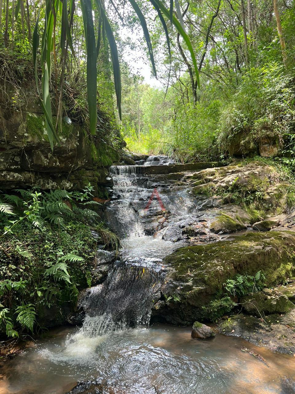 Fazenda à venda, 5m² - Foto 7