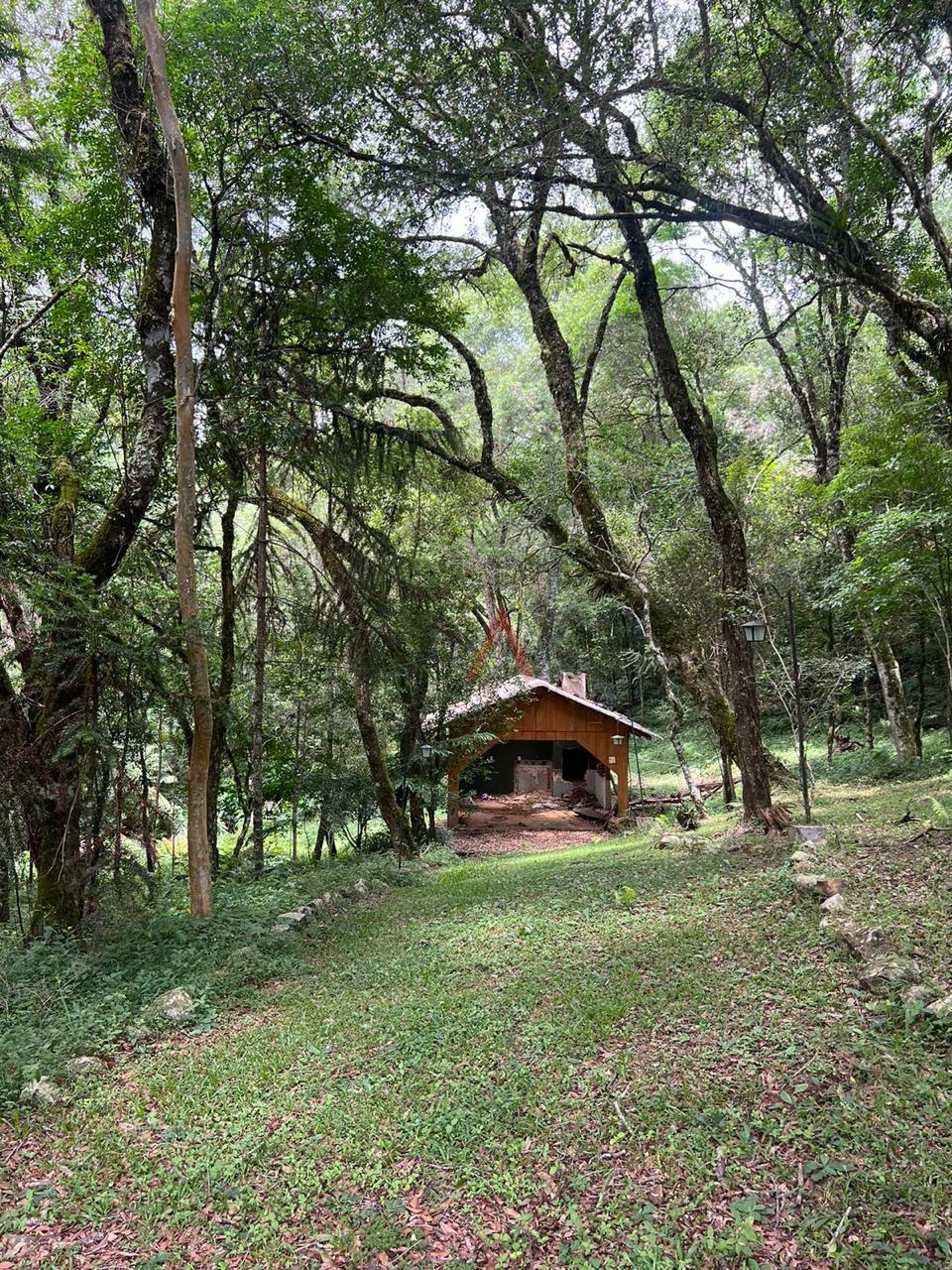 Fazenda à venda, 5m² - Foto 20