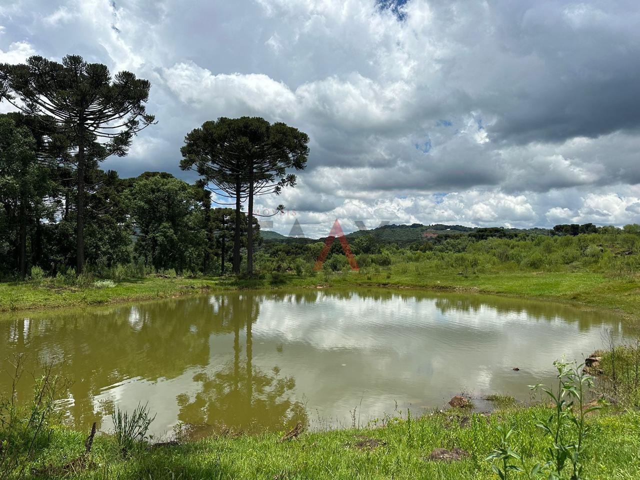 Fazenda à venda, 5m² - Foto 2