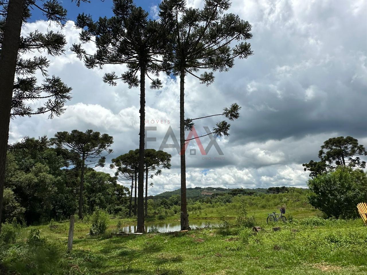 Fazenda à venda, 5m² - Foto 34