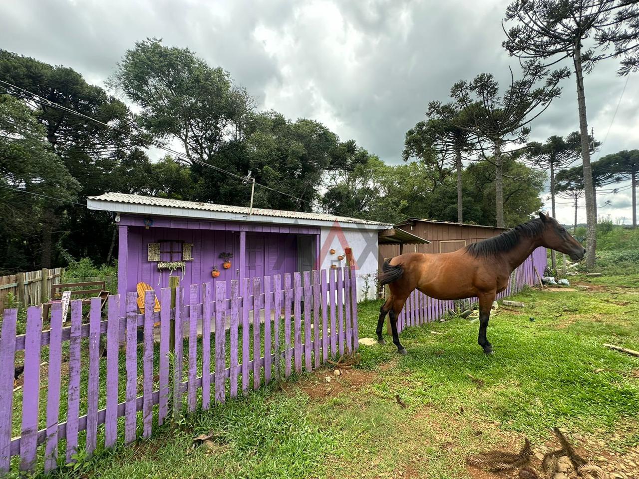 Fazenda à venda, 5m² - Foto 43