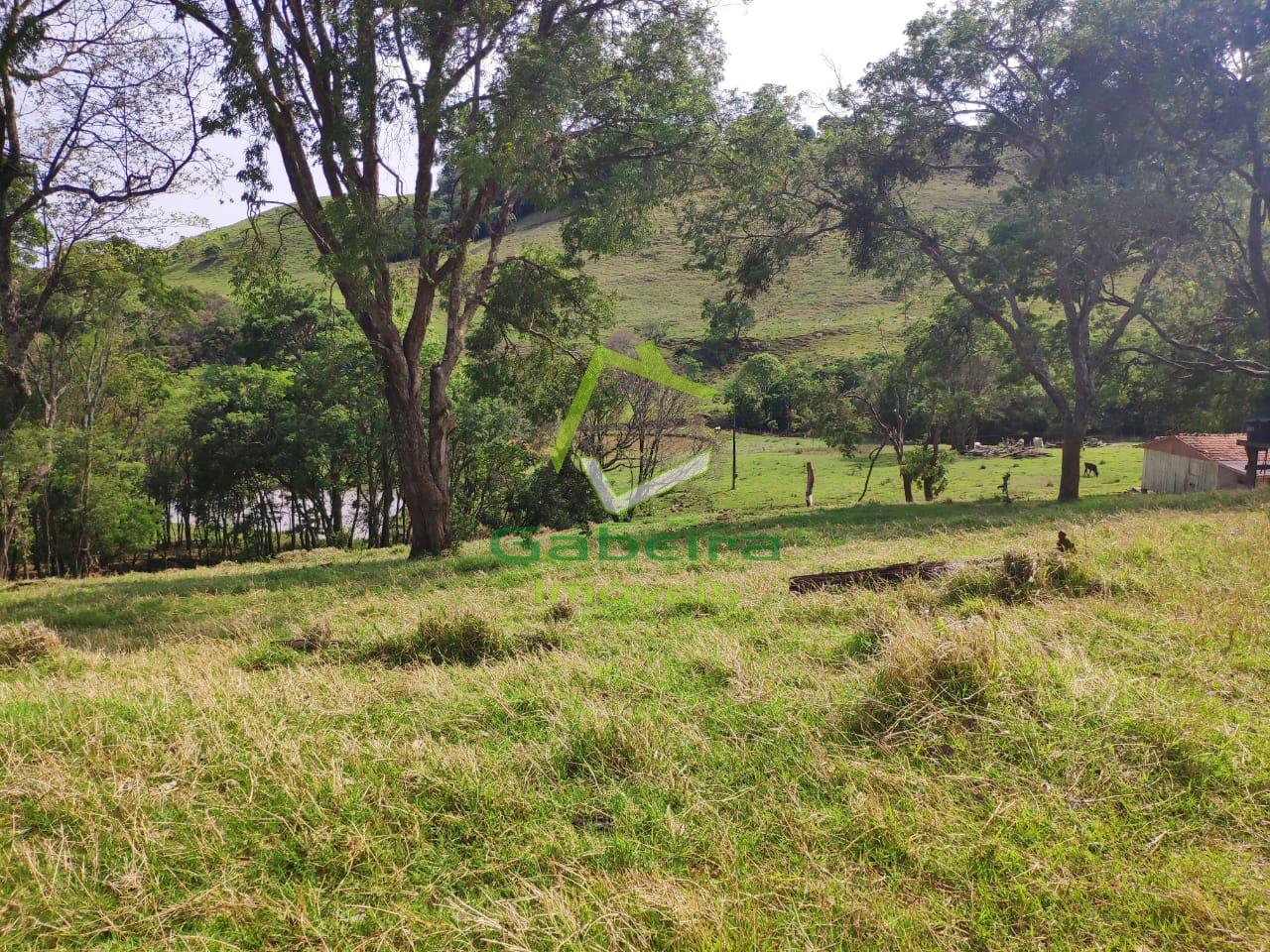 Gabeira Imveis em Coronel Vivida PR