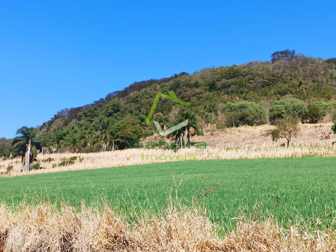 Gabeira Imveis em Coronel Vivida PR