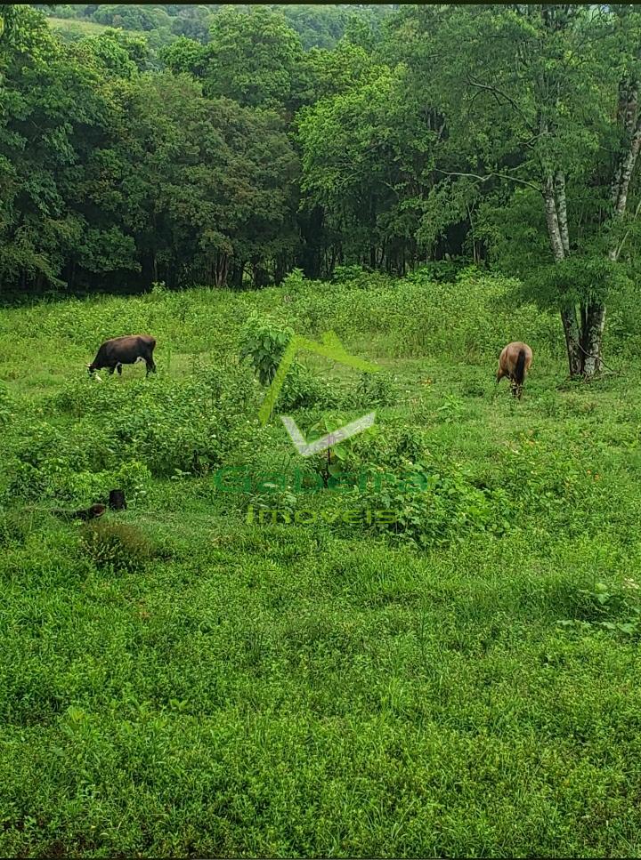 Gabeira Imveis em Coronel Vivida PR