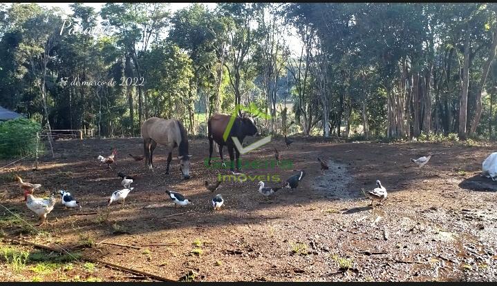 Gabeira Imveis em Coronel Vivida PR