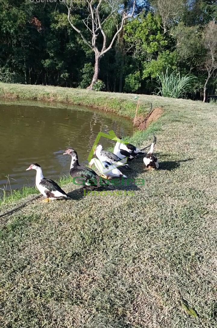 Gabeira Imveis em Coronel Vivida PR