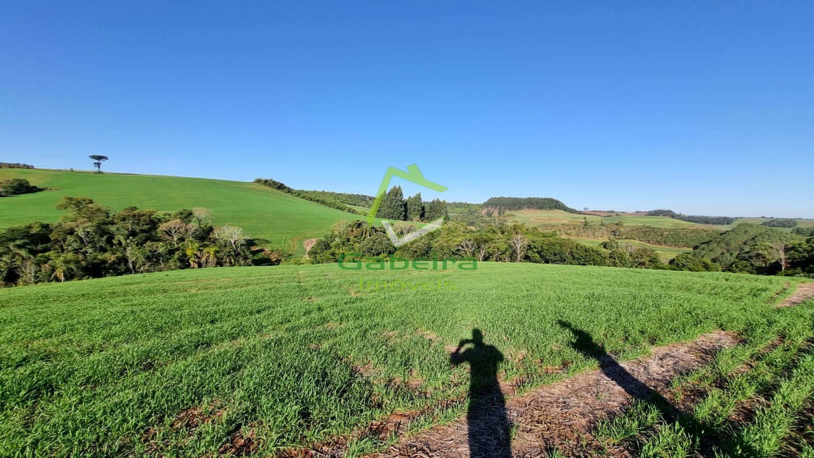 Gabeira Imveis em Coronel Vivida PR