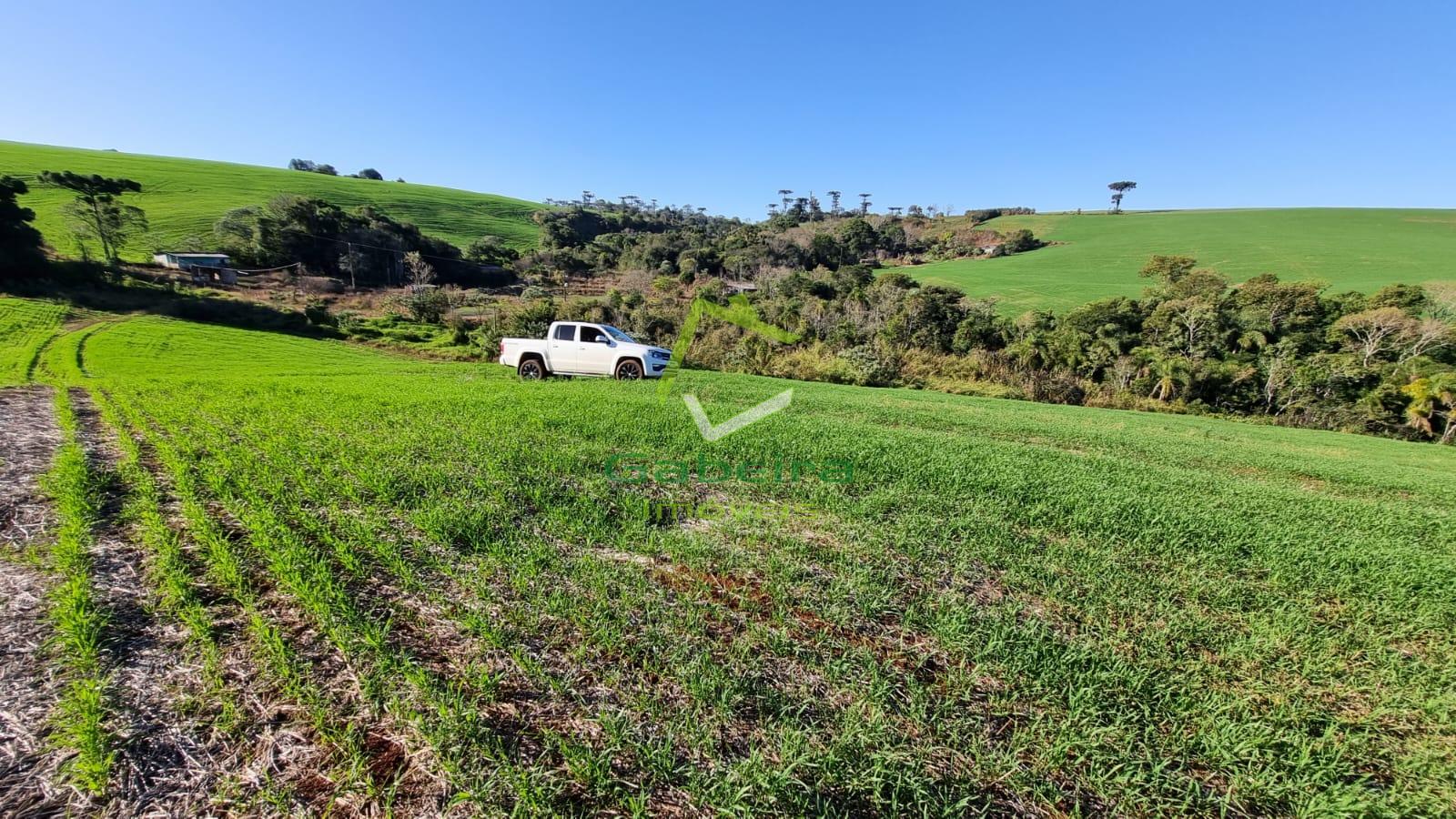 Gabeira Imveis em Coronel Vivida PR