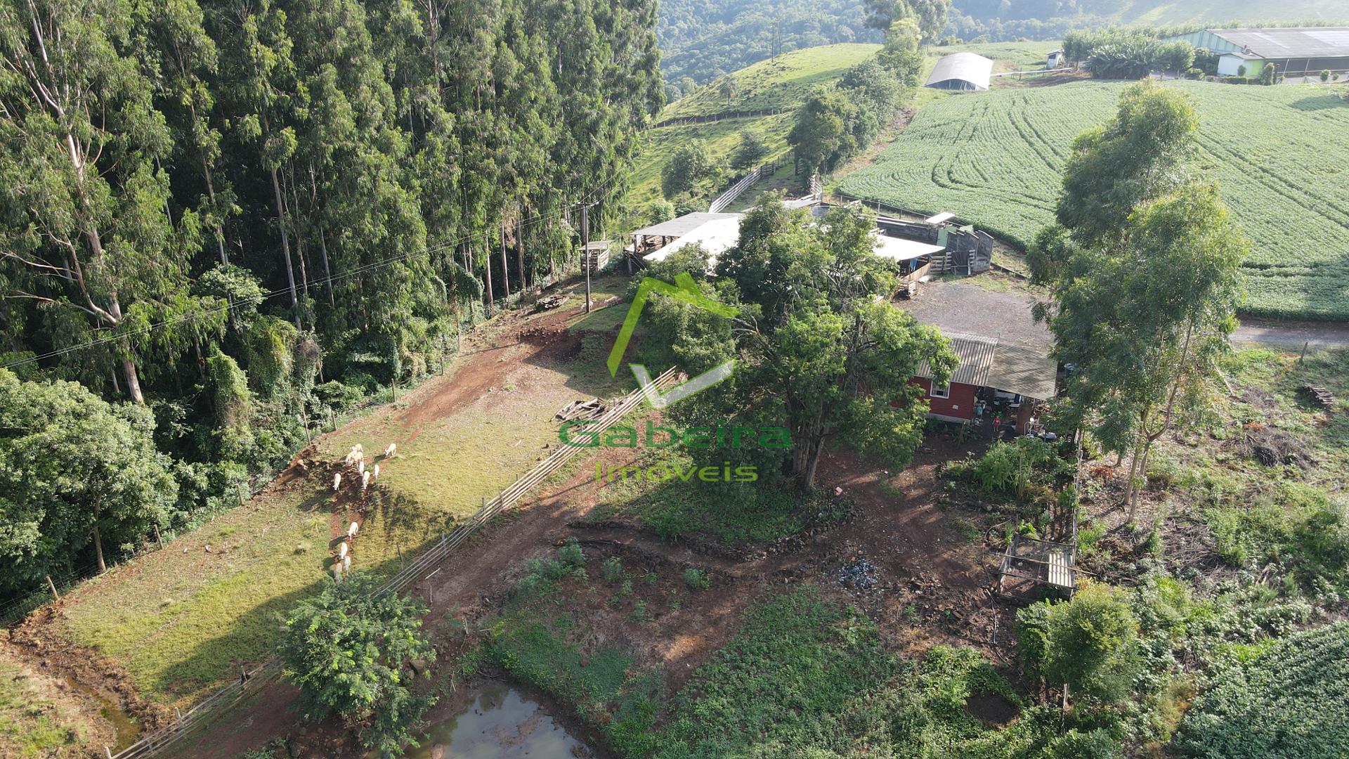 Gabeira Imveis em Coronel Vivida PR