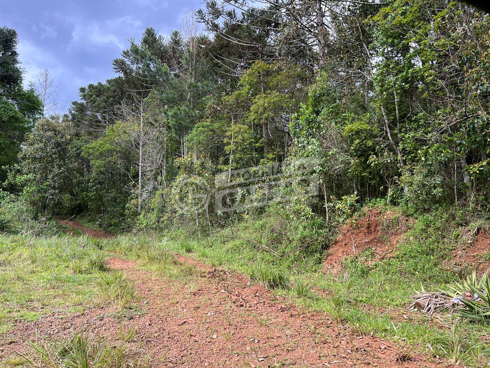 Terreno à venda, TURVO, GUARAPUAVA - PR