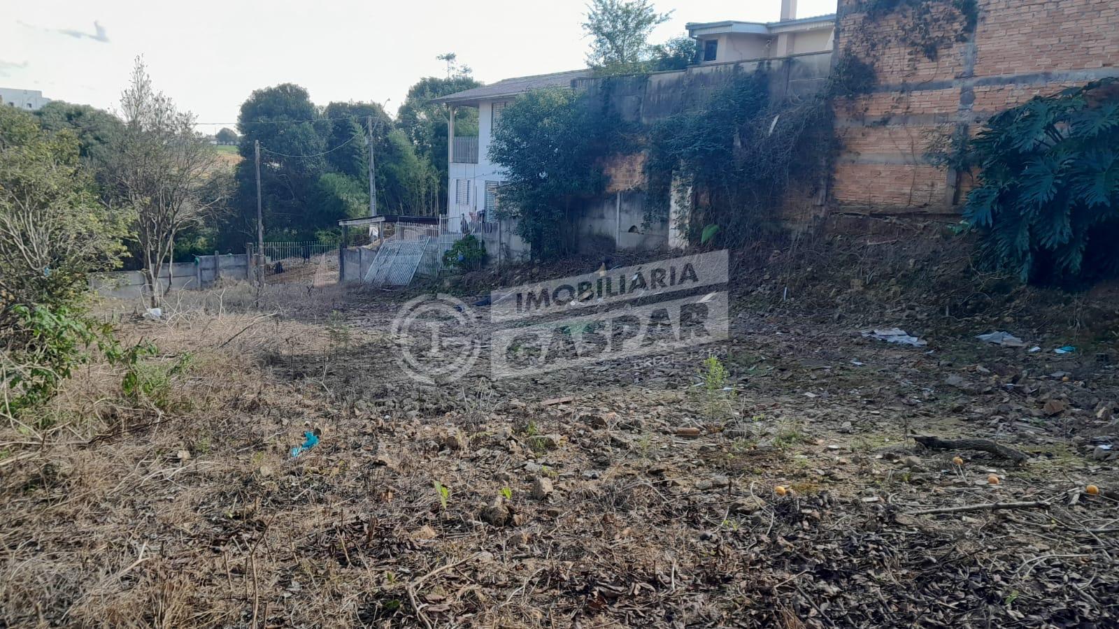 Terreno à venda, SANTA CRUZ, GUARAPUAVA - PR