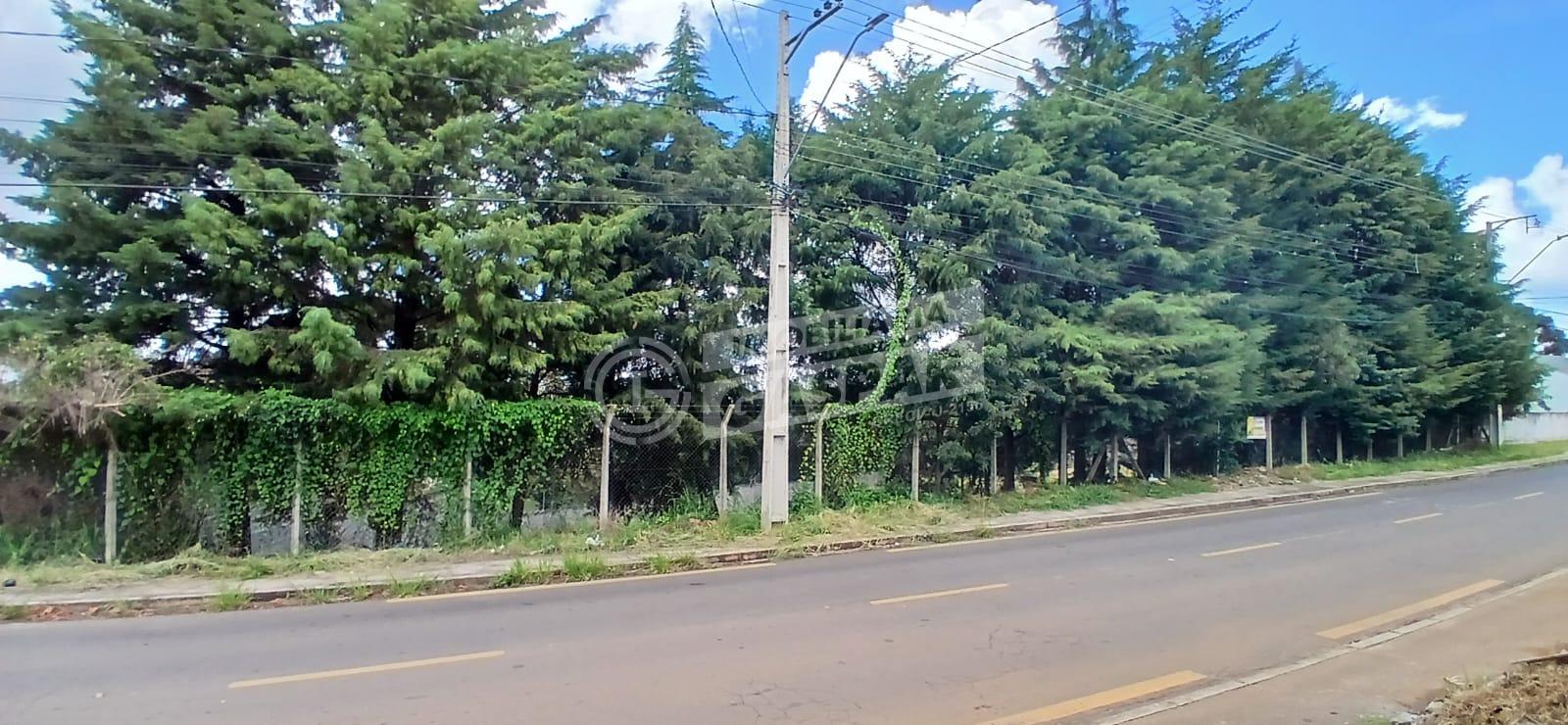 ÓTIMO TERRENO PARA VENDA NO BOQUEIRÃO, COM ÁREA DE 2.200.o à v...