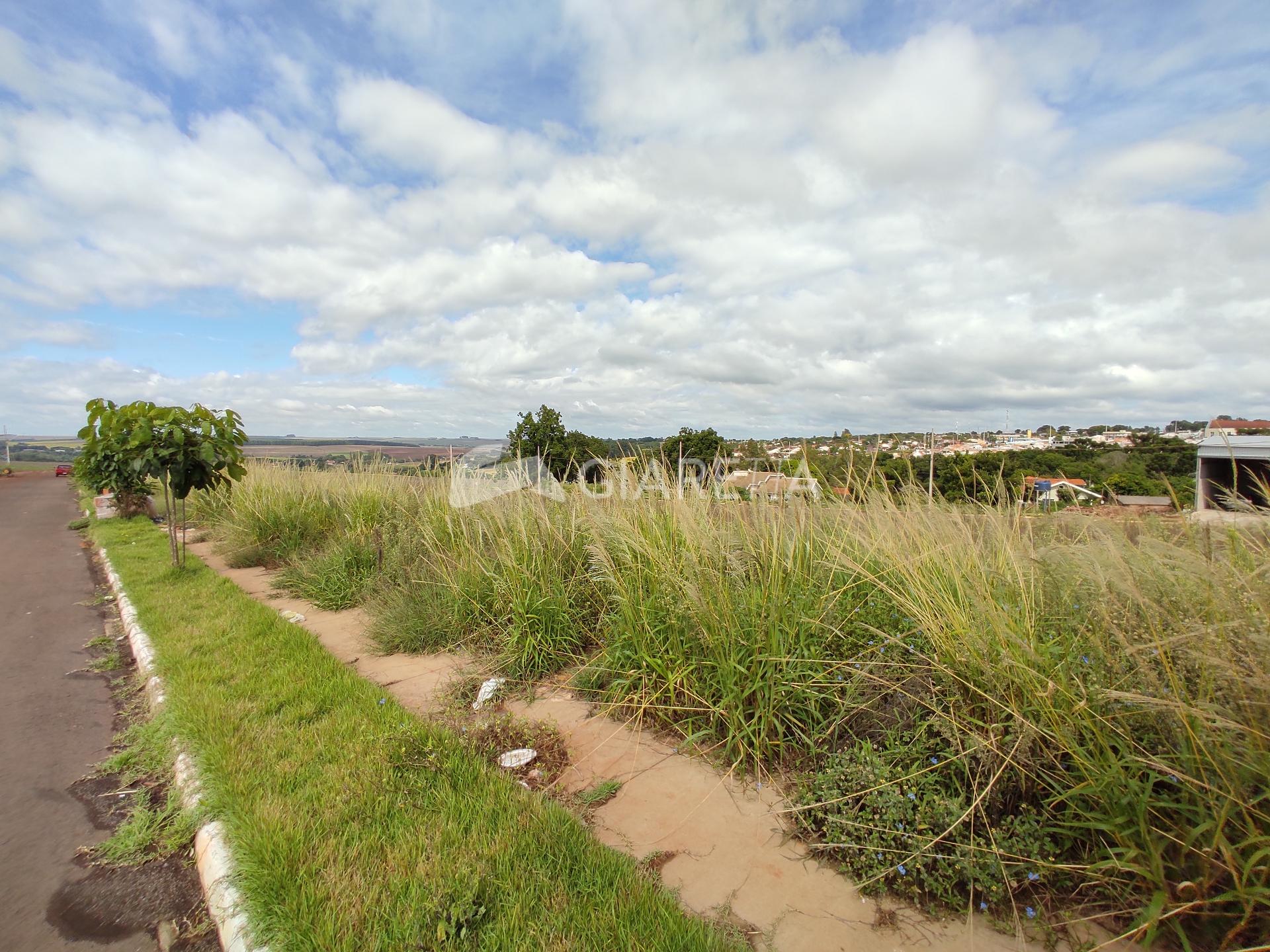 Terreno à venda, 250m² - Foto 4