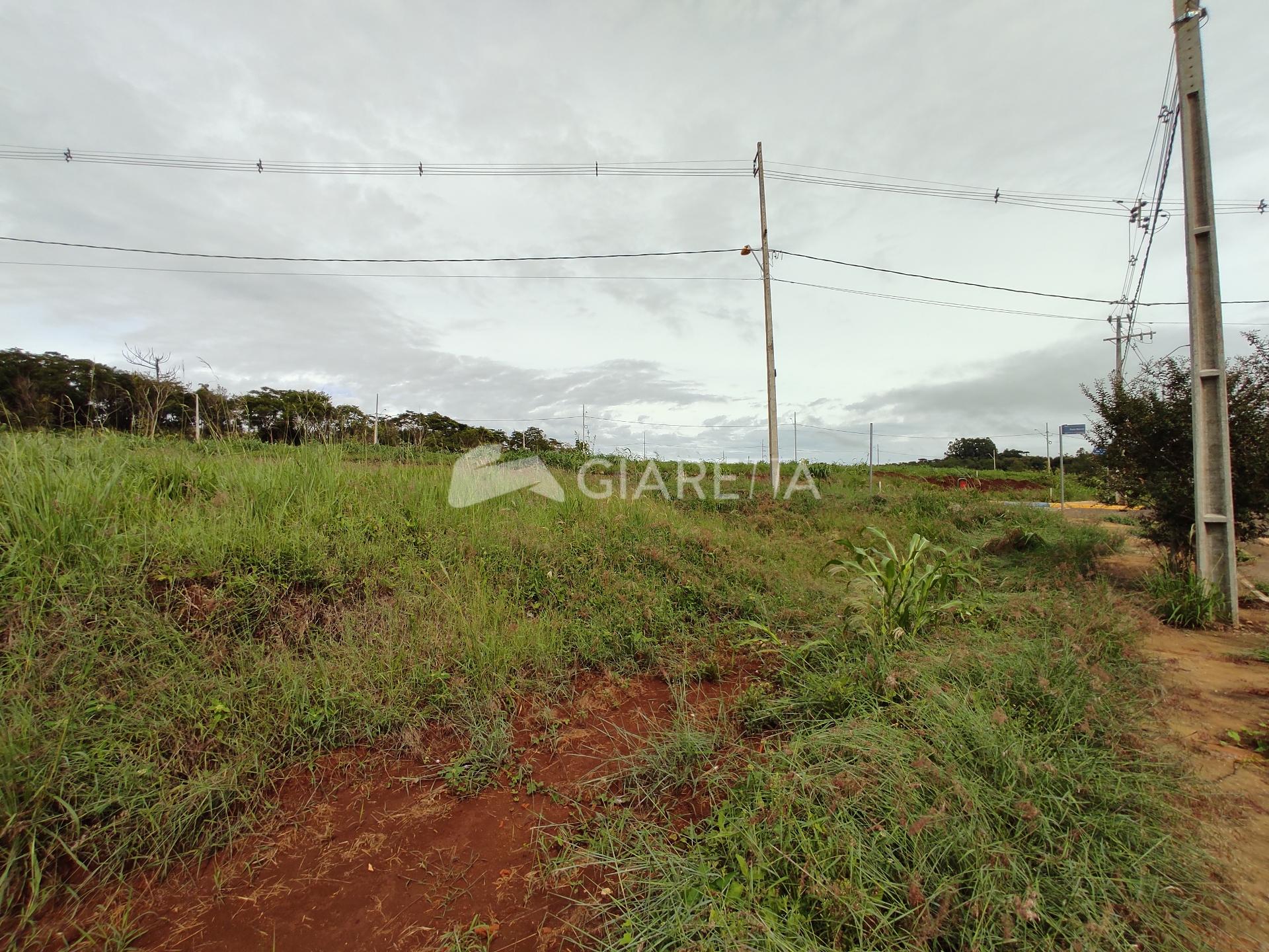 Terreno à venda, 250m² - Foto 6