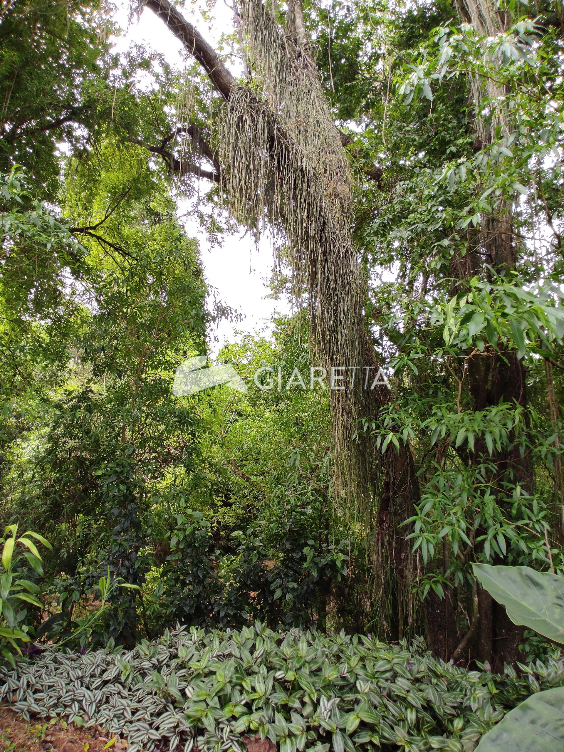 Fazenda à venda, 5756m² - Foto 42