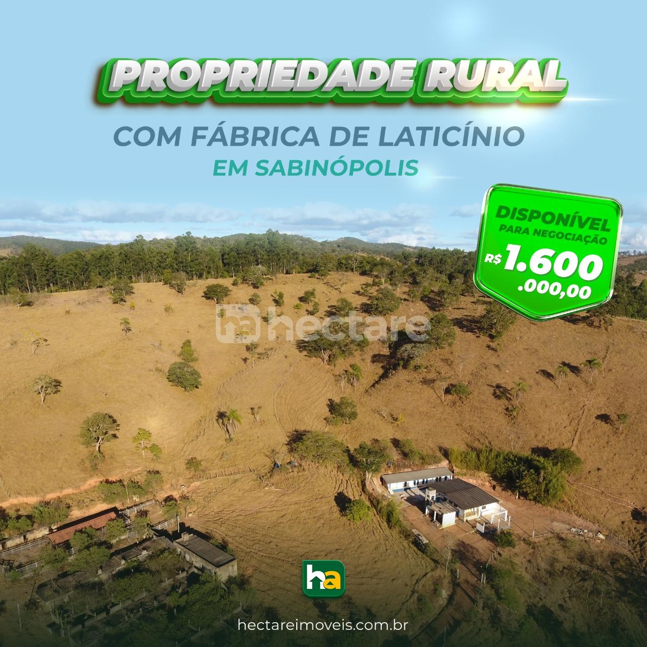 TERRENO DE 6 ALQUEIRES COM FÁBRICA DE LATICÍNIO