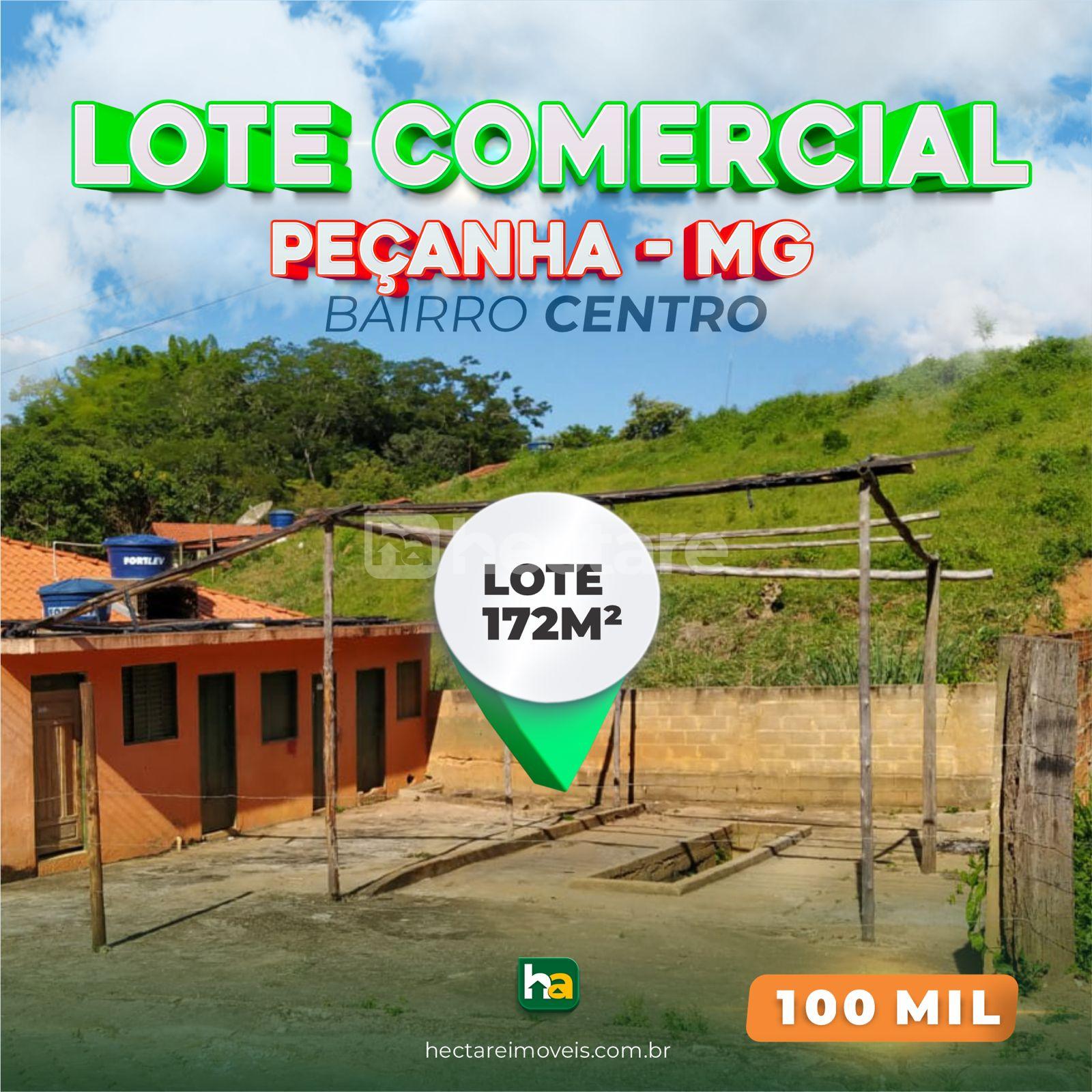 LOTE COMERCIAL NO CENTRO DE PEÇANHA