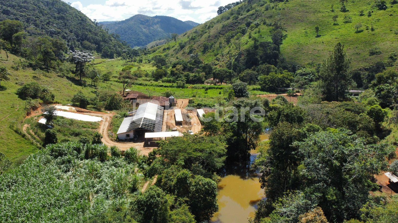 FAZENDA DE PORTEIRA FECHADA   SAPUCAIA DE GUANHÃES