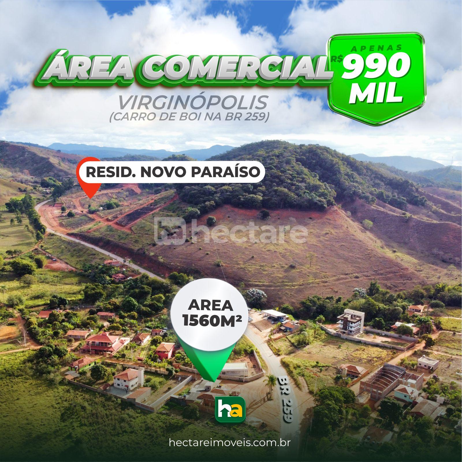 Comercial à venda, BR 259, VIRGINOPOLIS - MG