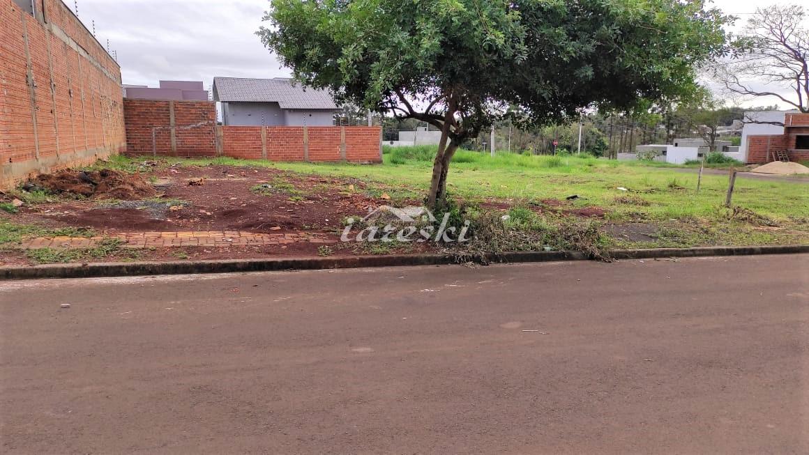 Terreno à venda, loteamento Verdes Pampas, FOZ DO IGUACU - PR