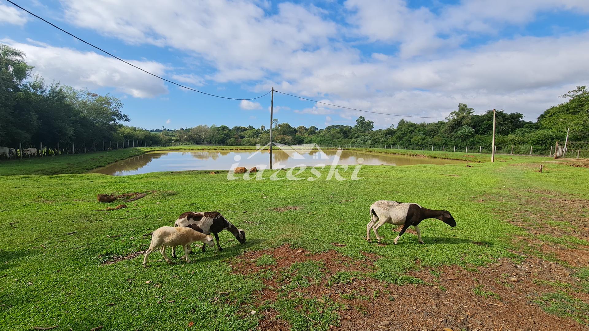 Chácara à venda, Linha Cotiporã em São Miguel do Iguaçu - PR
