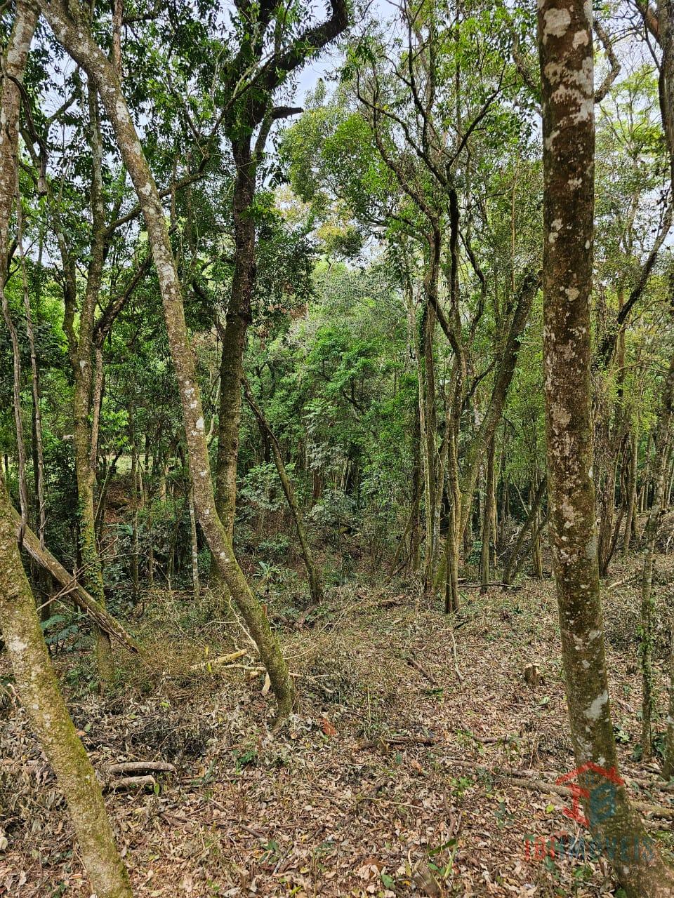 Ibiúna Oportunidade Terreno com 1.950m  em condomínio com clube